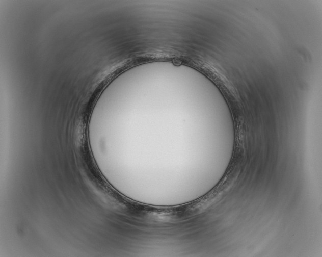 X0000111910164200908101208