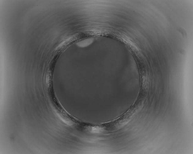 X0000111910165200908101208