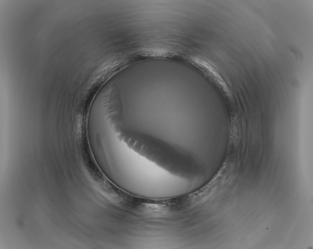 X0000111910167200908101208