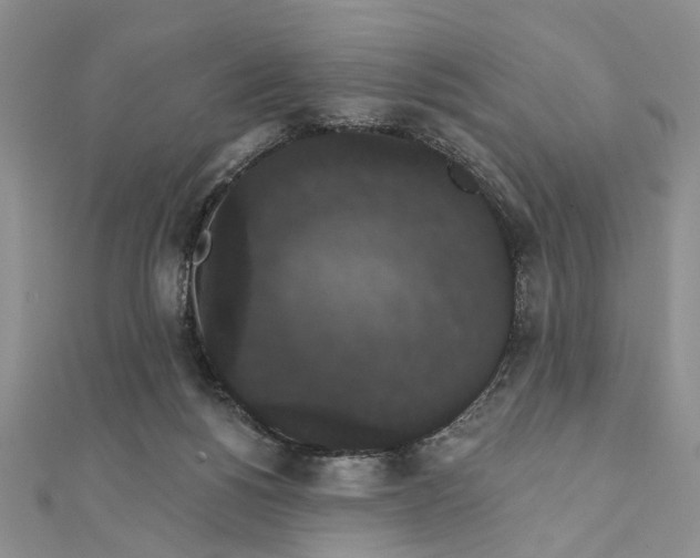 X0000111910168200908101208