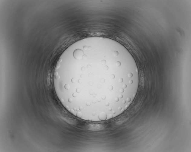 X0000111910169200908101208