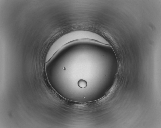 X0000111910170200908101208