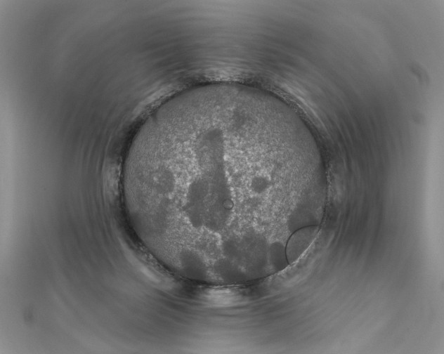 X0000111910171200908101208