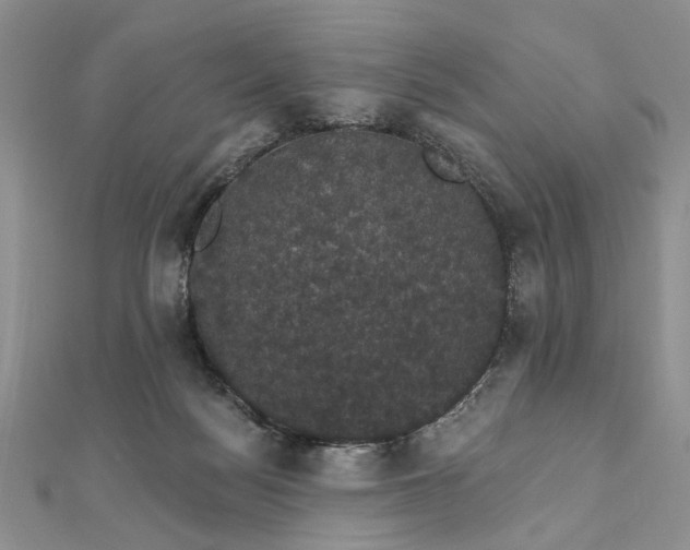 X0000111910172200908101208