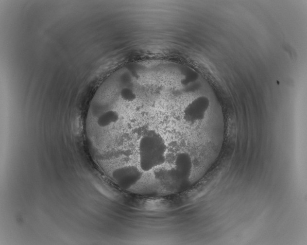 X0000111910173200908101208