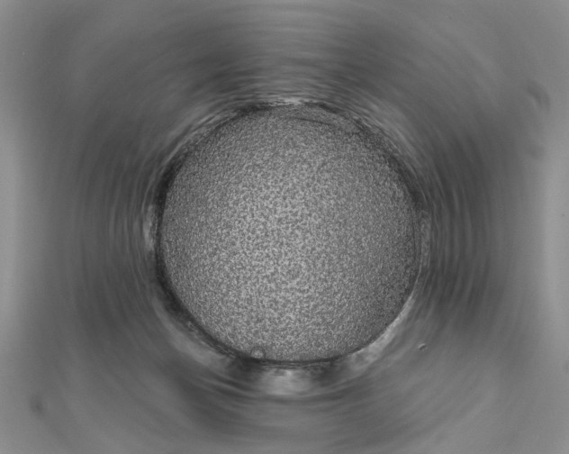 X0000111910174200908101208