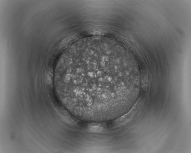 X0000111910175200908101208