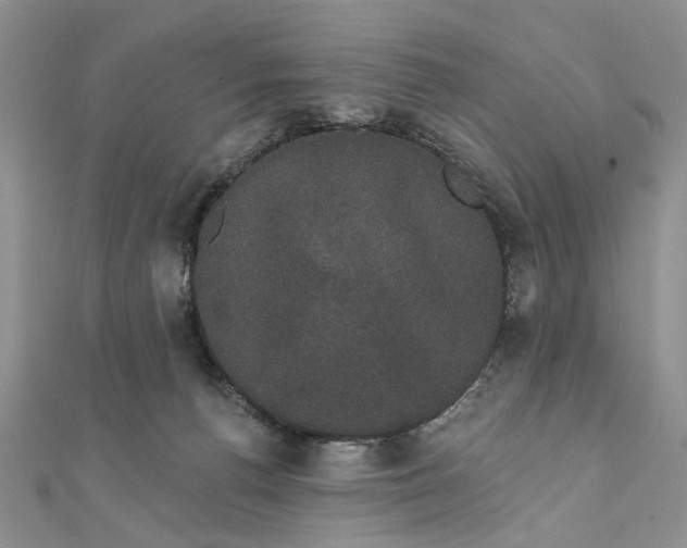 X0000111910176200908101208