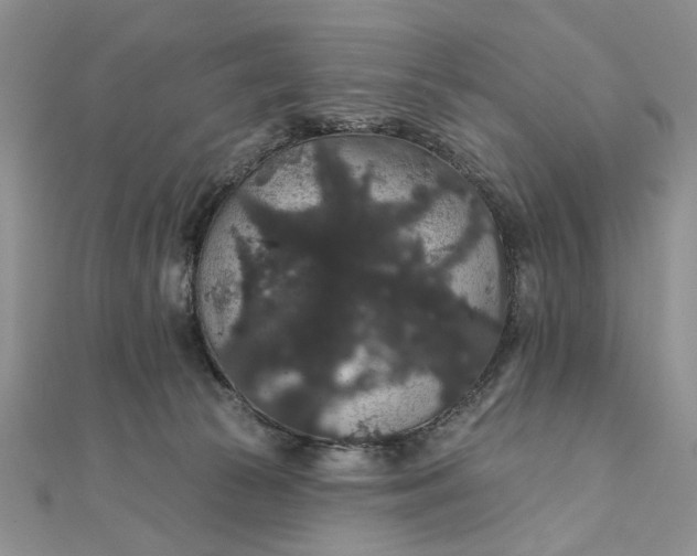 X0000111910177200908101208