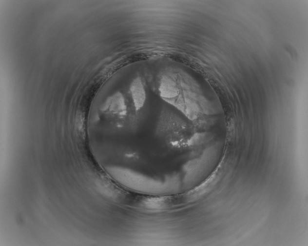 X0000111910178200908101208