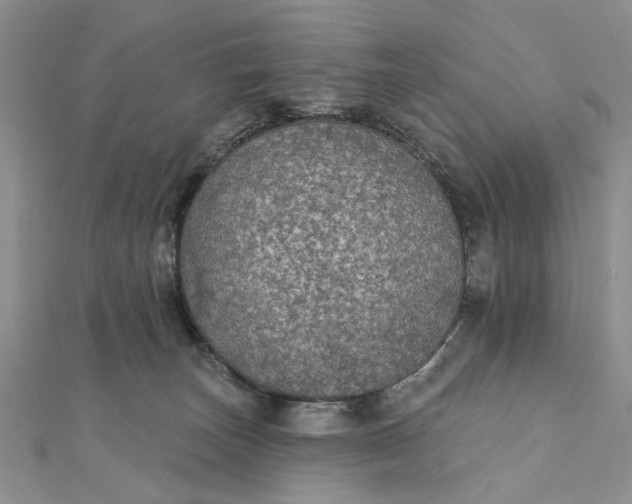 X0000111910179200908101208