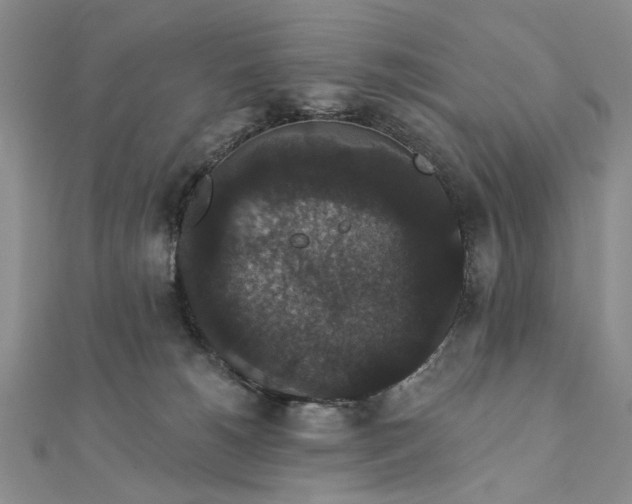 X0000111910180200908101208