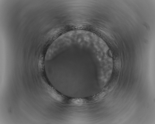 X0000111910181200908101208