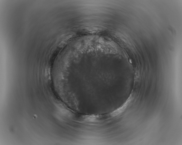 X0000111910182200908101208