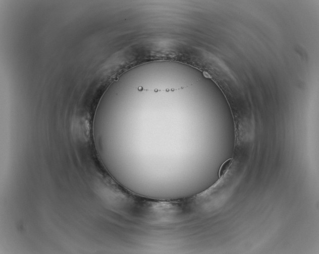 X0000111910183200908101208