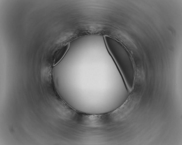 X0000111910184200908101208