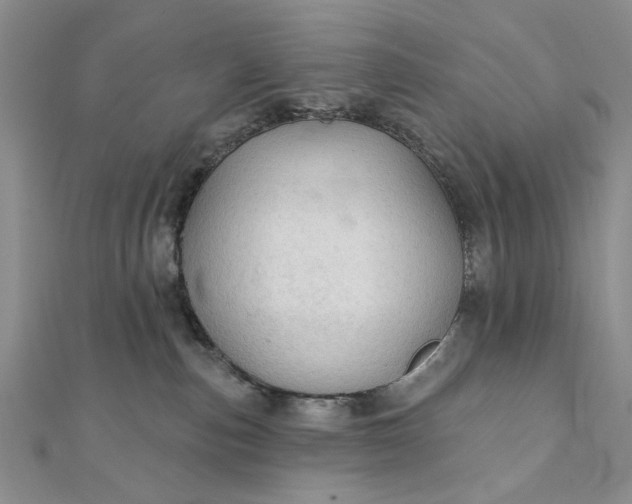 X0000111910187200908101208