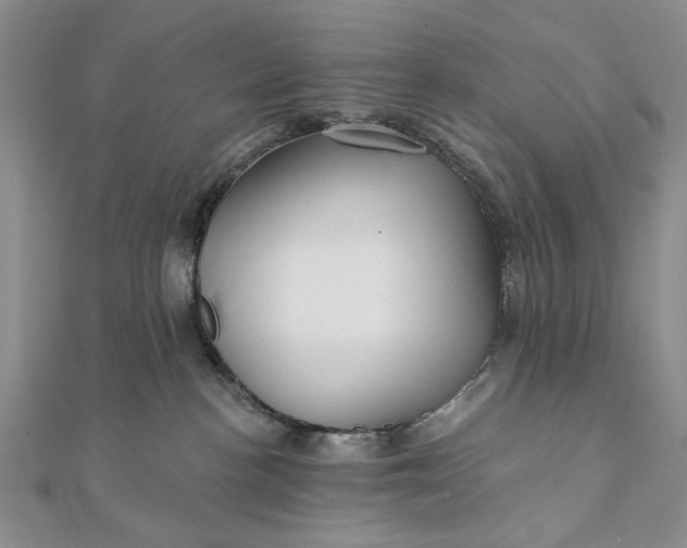 X0000111910188200908101208