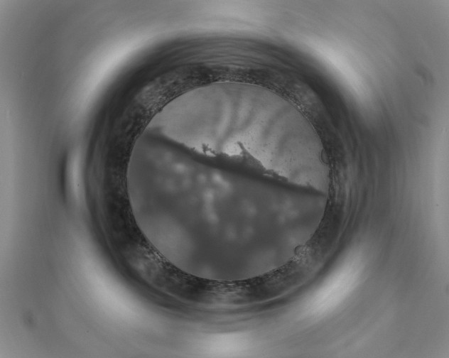 X0000111910189200908101208