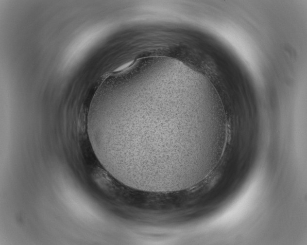 X0000111910190200908101208