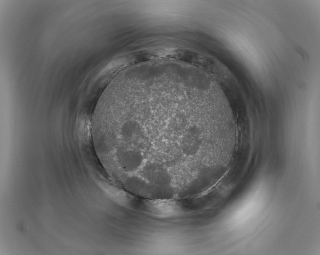 X0000111910191200908101208