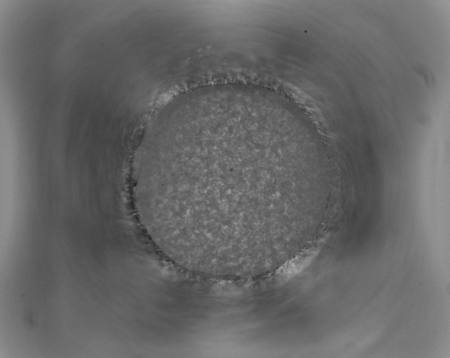 X0000111910192200908101208