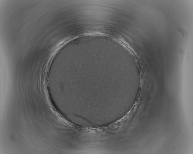 X0000111910193200908101208