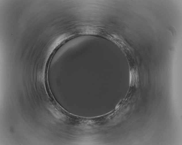 X0000111910195200908101208