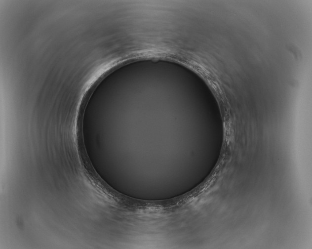 X0000111910196200908101208