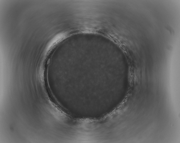 X0000111910197200908101208