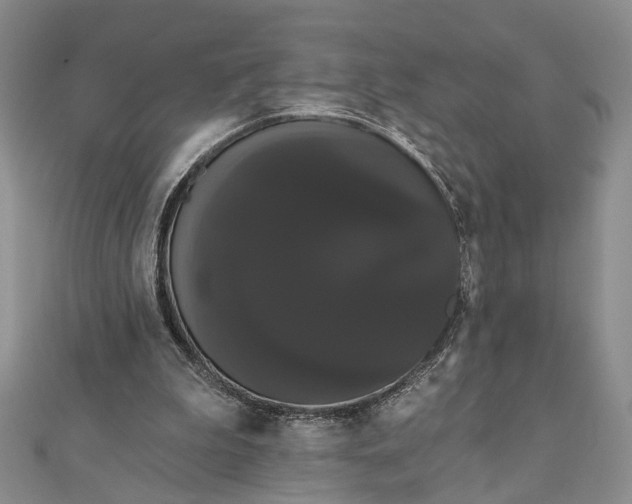 X0000111910199200908101208