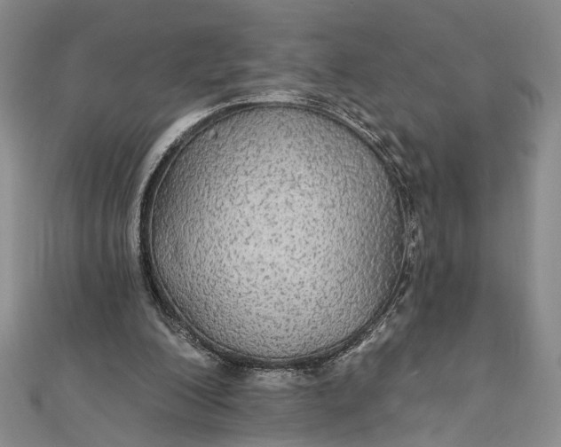 X0000111910200200908101208