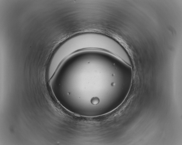 X0000111910201200908101208