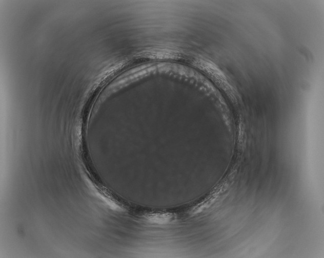 X0000111910202200908101208