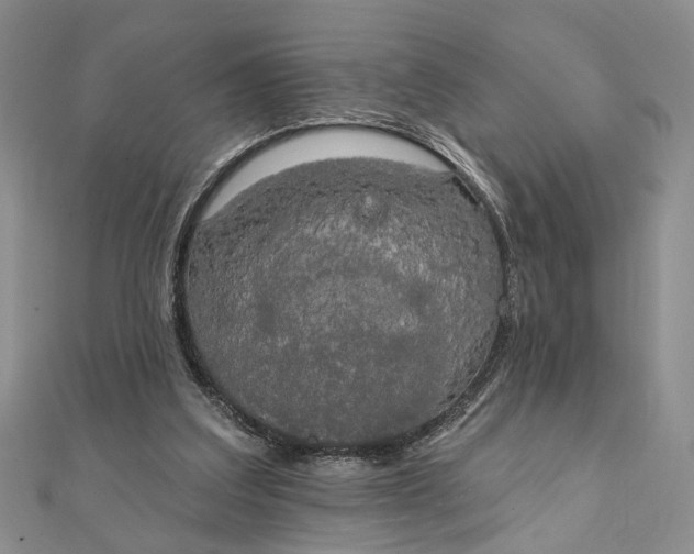 X0000111910203200908101208