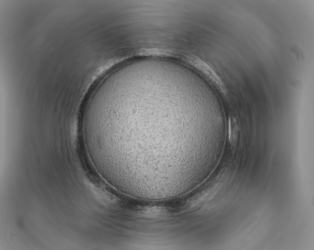 X0000111910204200908101208