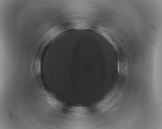 X0000111910205200908101208