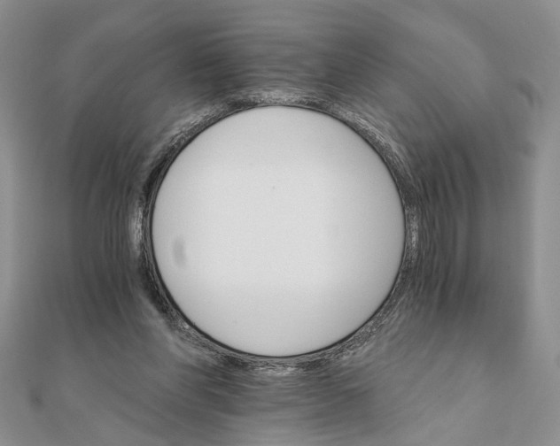 X0000111910206200908101208