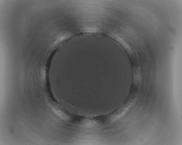 X0000111910207200908101208