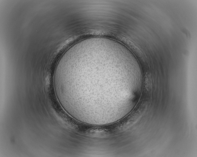 X0000111910208200908101208