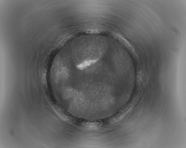 X0000111910209200908101208