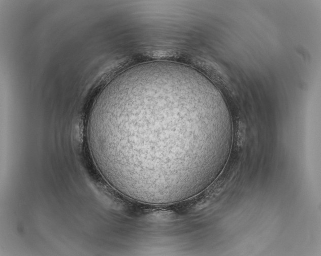 X0000111910210200908101208