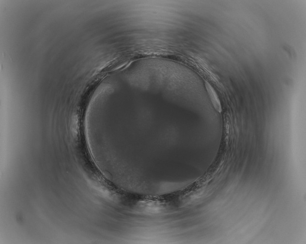 X0000111910211200908101208