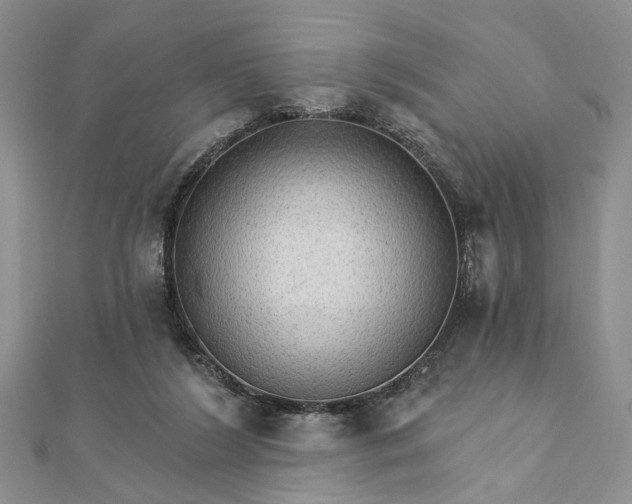 X0000111910212200908101207