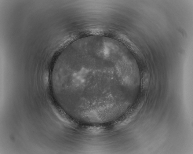 X0000111910213200908101207