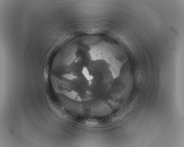 X0000111910214200908101207