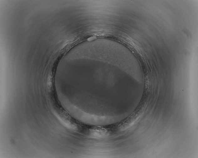 X0000111910215200908101207