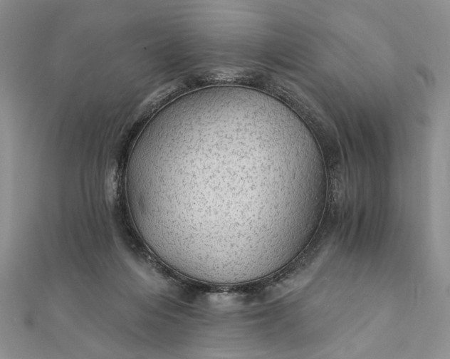 X0000111910216200908101207