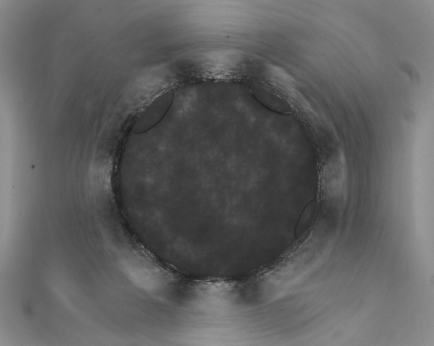 X0000111910217200908101207