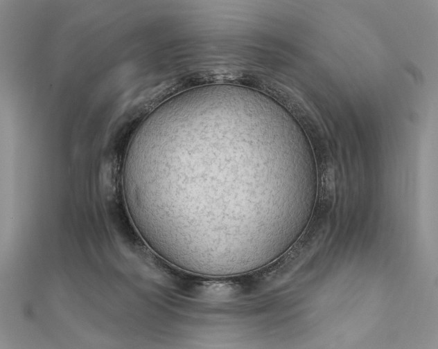 X0000111910218200908101207